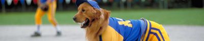 Air Bud: Seventh Inning Fetch - Baseball Movie header